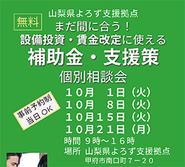 補助金・支援策個別相談会